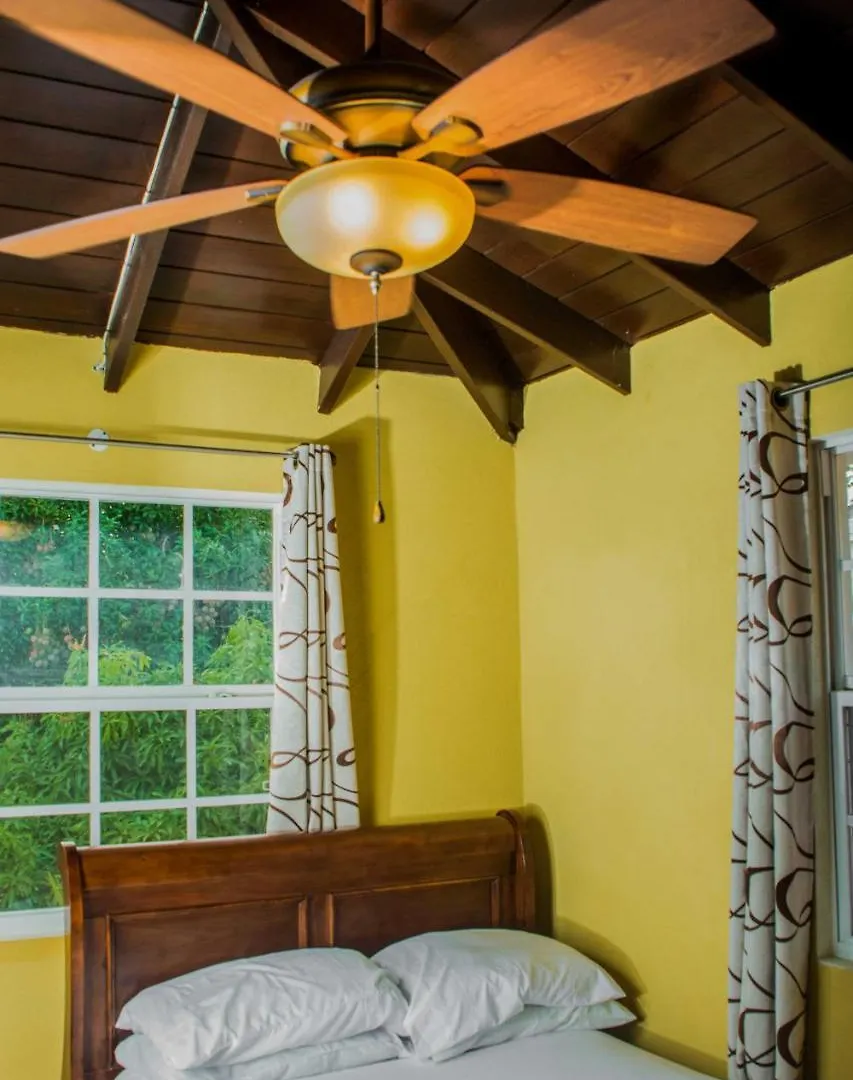 Villa Riana Barbados Christ Church Apartment