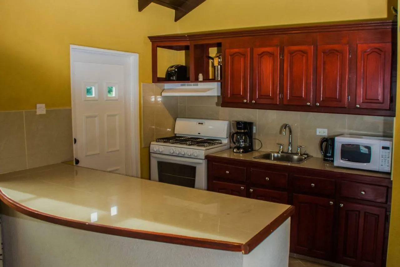 Apartment Villa Riana Barbados Christ Church
